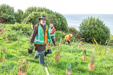 Brian, Anne and Amber digging in for a beautiful day Planting at Stirling Point 2018