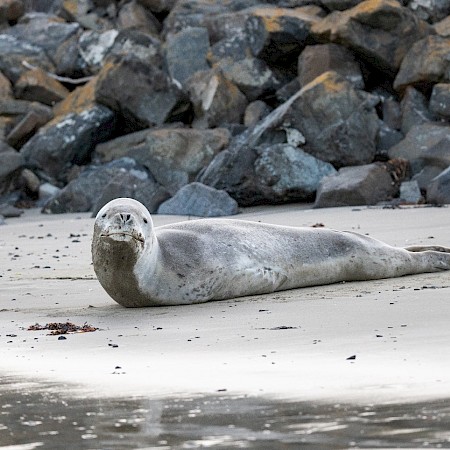  © Yvonne Pickford Photography