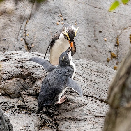  © Yvonne Pickford Photography