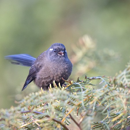  © Yvonne Pickford Photography