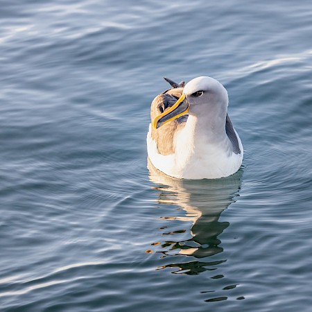  © Yvonne Pickford Photography