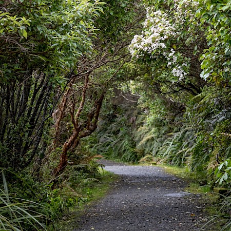  © Yvonne Pickford Photography