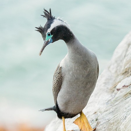  © Yvonne Pickford Photography