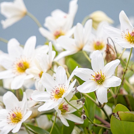  © Yvonne Pickford Photography