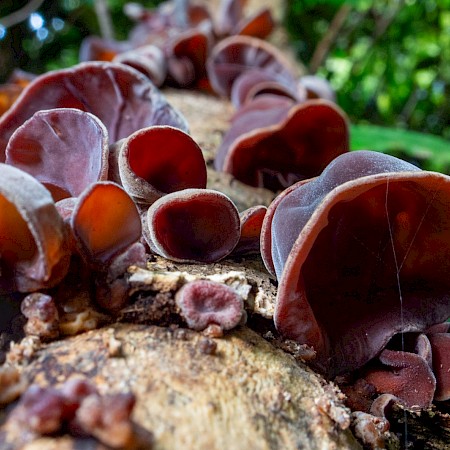  © Yvonne Pickford Photography