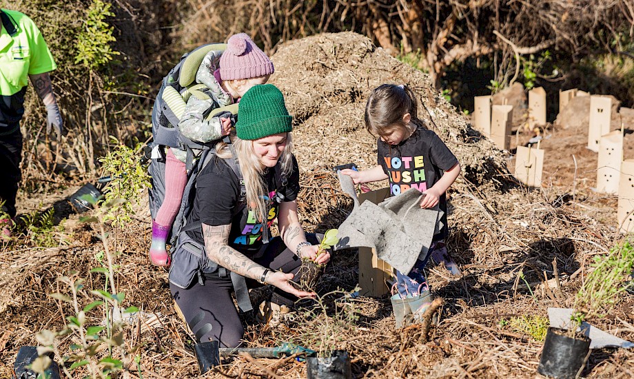 © Yvonne Pickford Photography